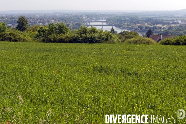 Panorama sur le confuent et la vallee se la Seine
