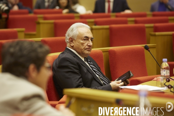 Audition senat dsk dominique strauss kahn