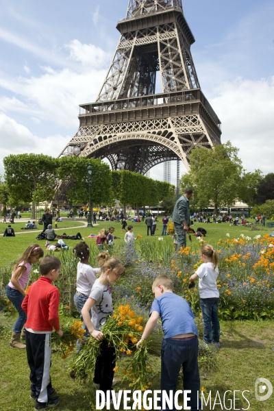 Autour de la tour  Eiffel,des enfants font des bouquets avec des fleurs deterrees d un massif par les jardiniers de la ville
