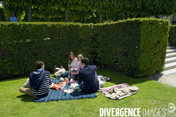 Illustration Juin 2013.Pic nique chic au  jardin des Tuileries