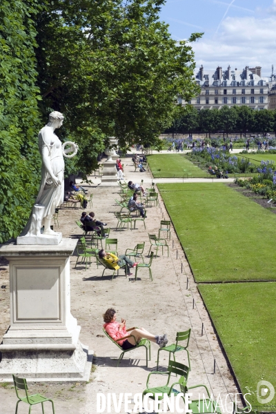 Illustration Juin 2013..Une femme lit un livre au soleil dans les  jardins des Tuileries