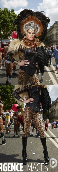 Gay pride 2013 paris