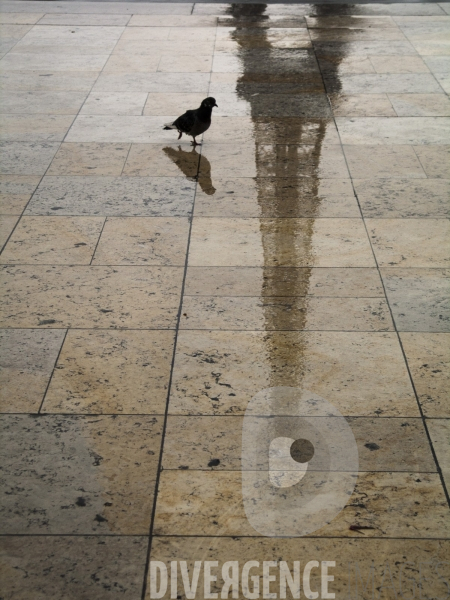 Le Paris des Reflets