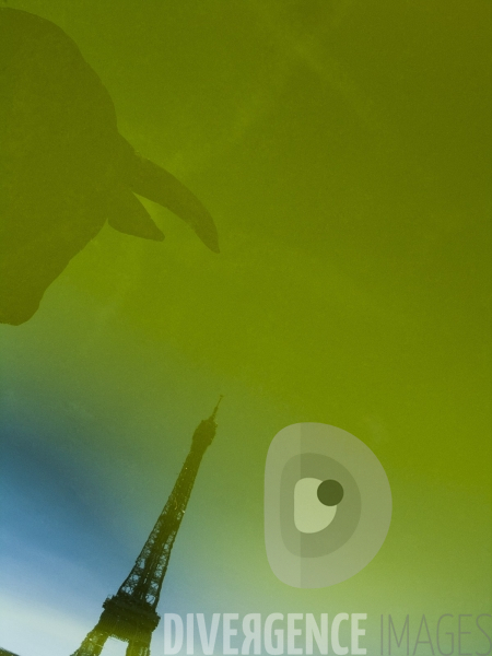 Le Paris des Reflets