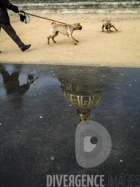 Le Paris des Reflets