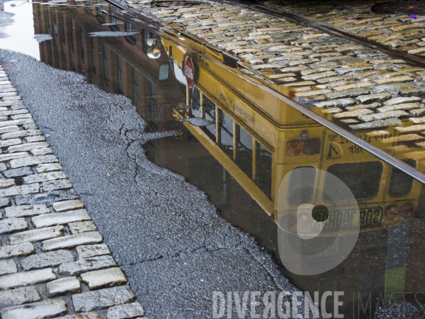New York Reflections