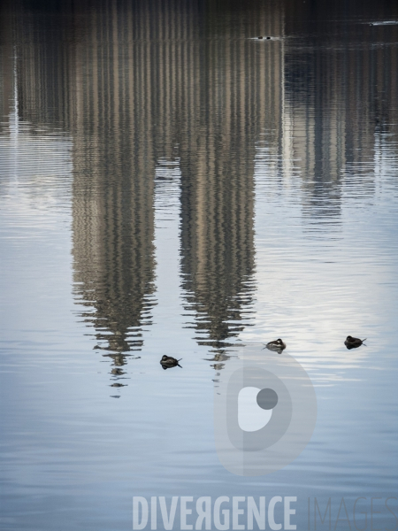 New York Reflections