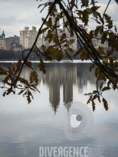 New York Reflections