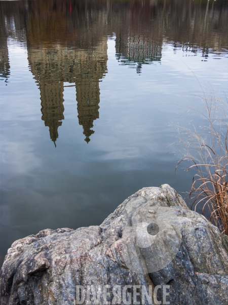 New York Reflections