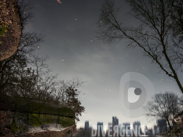 New York Reflections