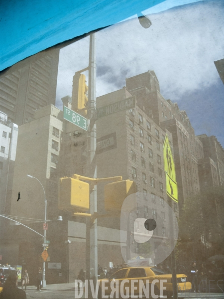New York Reflections