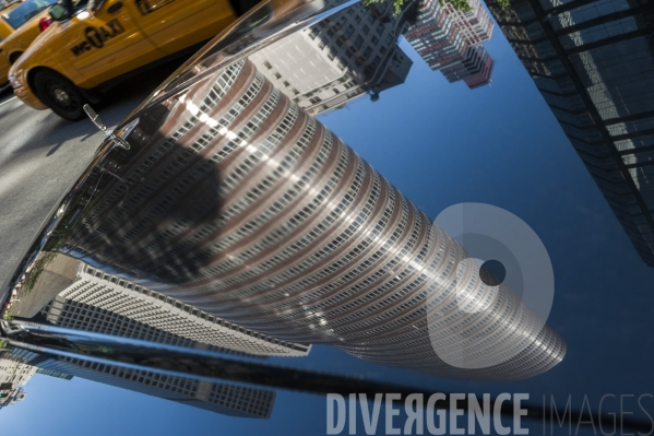 New York Reflections