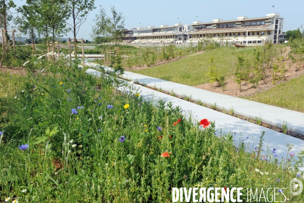 Un nouveau parc à Paris, les pelouses de l hippodrome d Auteuil,