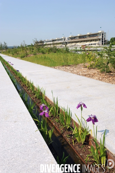 Un nouveau parc à Paris, les pelouses de l hippodrome d Auteuil,