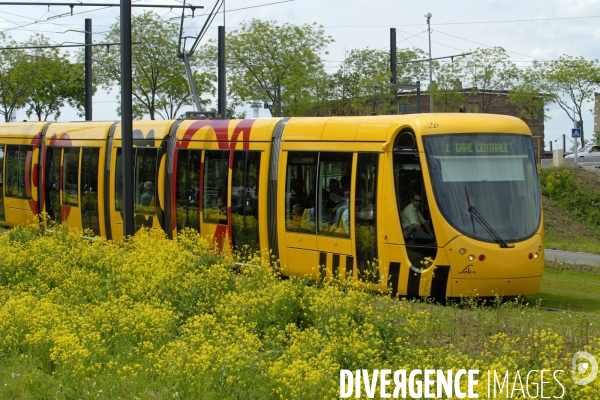 Des tramways et des villes.Tramway a Mulhouse