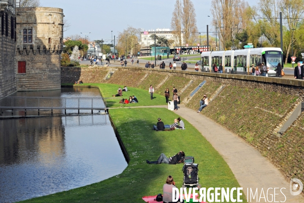 Des tramways et des villes.Rame de tramway devant le chateau d anne de Bretagne