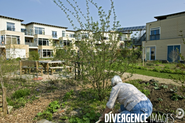 Eva Lanxmeer, un éco quartier a Culemborg, aux Pays Bas.Le jardin communautaire de la maison de retraite