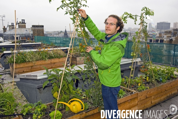 Portrait de nicolas Bel, co fondateur de Association Potager sur les toits