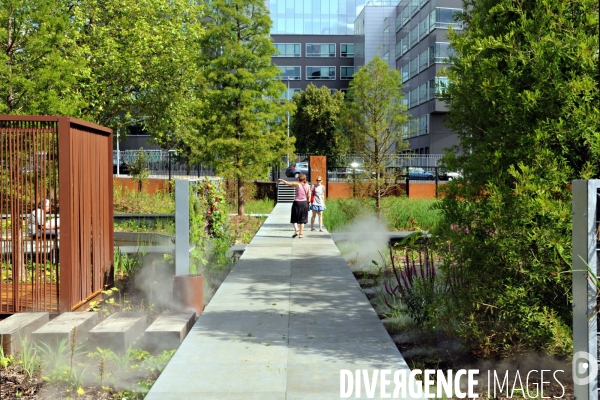 La nature dans la ville -Série 01.Lille.Le jardin des geants.Amenagement paysager en prolongement du parvis des Nuages,