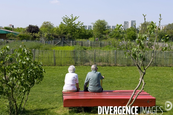 La nature dans la ville -Série 01.Vitry sur Seine,le parc du coteau, un couple de personnes agees se reposent sur un banc