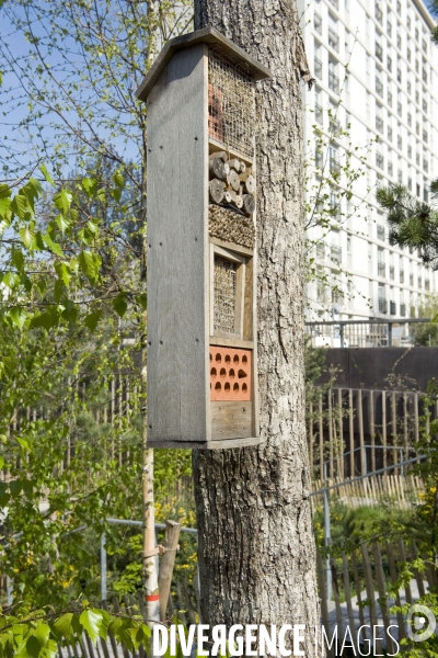 La nature dans la ville -Série 01. Le jardin Anna Marly