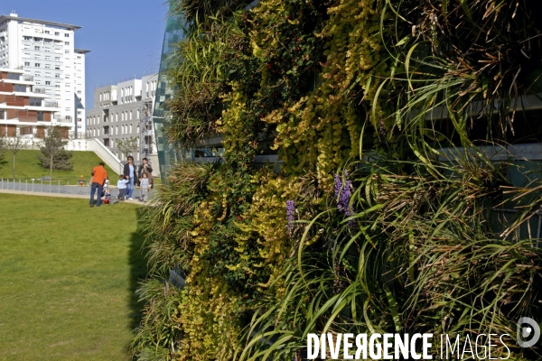 La nature dans la ville -Série 01.Arceuil. jardin paysager sur le toit du centre commercial de la vache noire