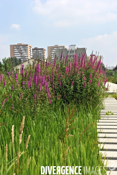 La nature dans la ville -Série 01.Clichy la Garenne.Le parc des impressionnistes