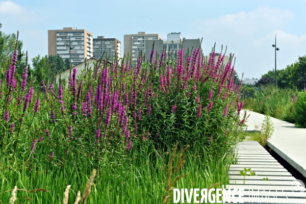 La nature dans la ville -Série 01.Clichy la Garenne.Le parc des impressionnistes