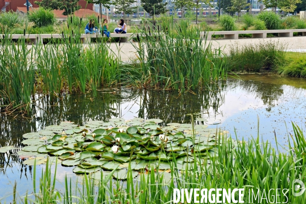 La nature dans la ville -Série 01.Clichy la Garenne.Le parc des impressionnistes