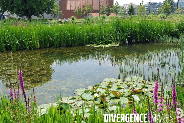 La nature dans la ville -Série 01.Clichy la Garenne.Le parc des impressionnistes