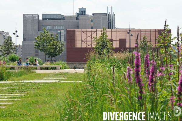 La nature dans la ville -Série 01.Clichy la Garenne.Le parc des impressionnistes