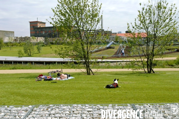 La nature dans la ville -Série 01.Nanterre.Parc du chemin de l ile