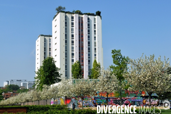 La nature dans la ville - Série 02..Arbres en fleurs au  parc départemental des Cormailles