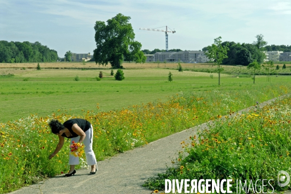 La nature dans la ville Série 02.Le parc du Bicheret