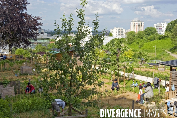 La nature dans la ville Série 02.La corniche des forts a Romainville. Amenagement de 49 jardins familiaux