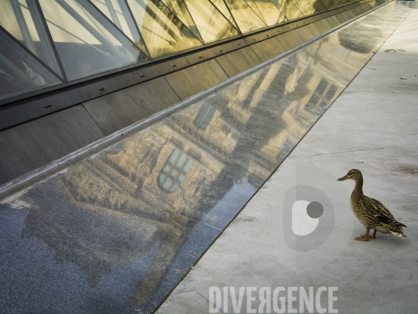 Le Paris des Reflets