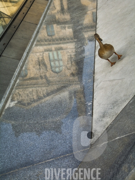 Le Paris des Reflets