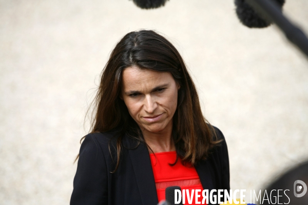 Conseil des Ministres du 24 juillet 2013
