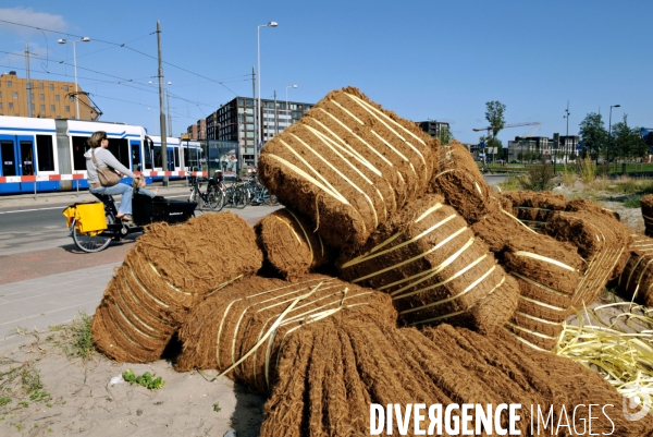 Six îles artificielles de cette extension urbaine, reliées au continent par des ponts forment, Ijburg, un archipel sorti des sables pompes dans l Ijmeer,