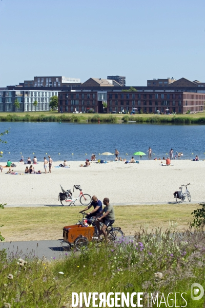 Amsterdam, illustration.Cest l etet sur une des plages d Ijburg