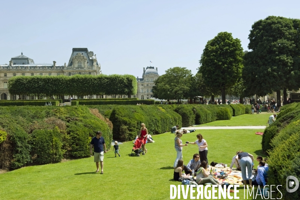 Illustration Juillet 2013.Pic nique aux jardins des Tuileries