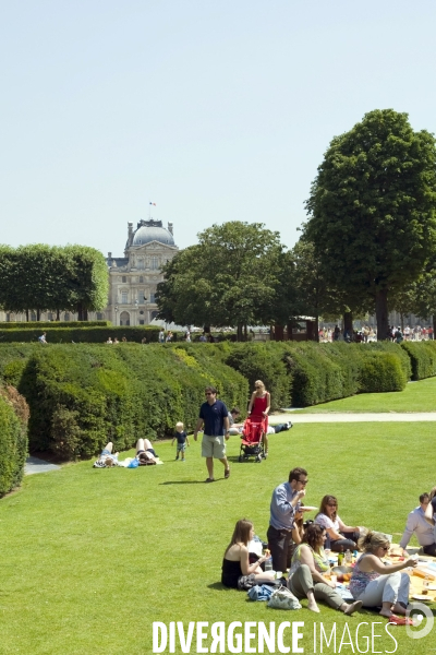 Illustration Juillet 2013.Pic nique aux jardins des Tuileries