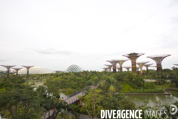 Singapour ville verte