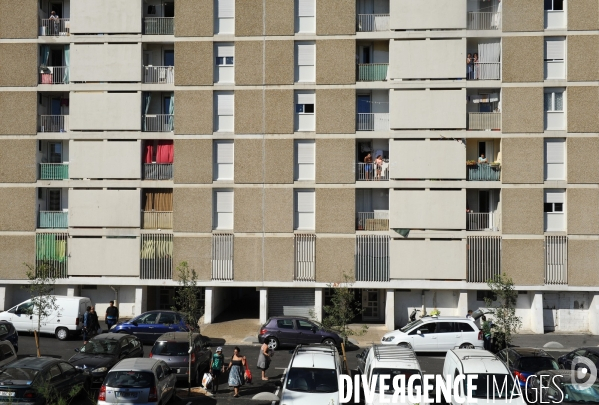 La cité des oliviers