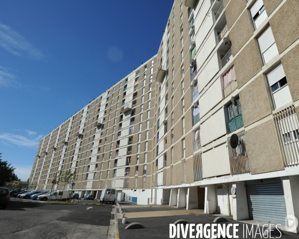 La cité des oliviers