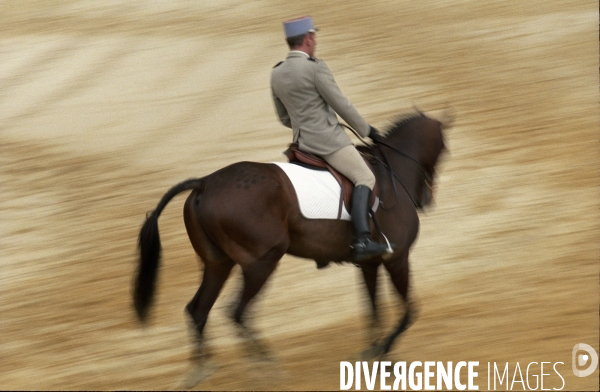 L équitation militaire