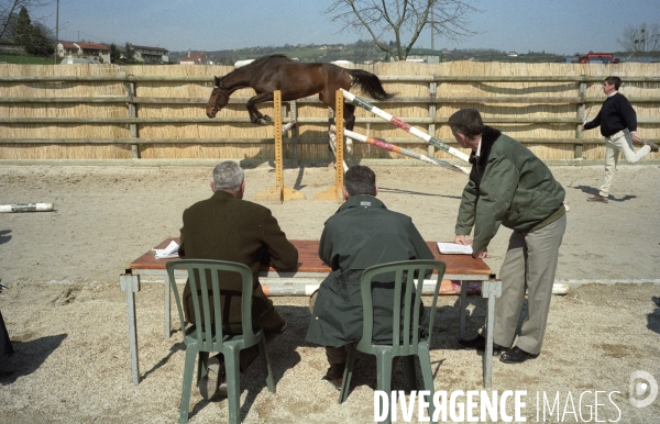 L équitation militaire