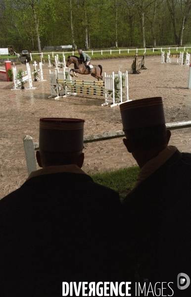 L équitation militaire