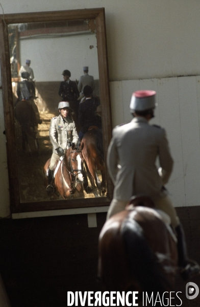 L équitation militaire