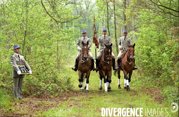 L équitation militaire